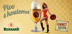 Pivo s koulema